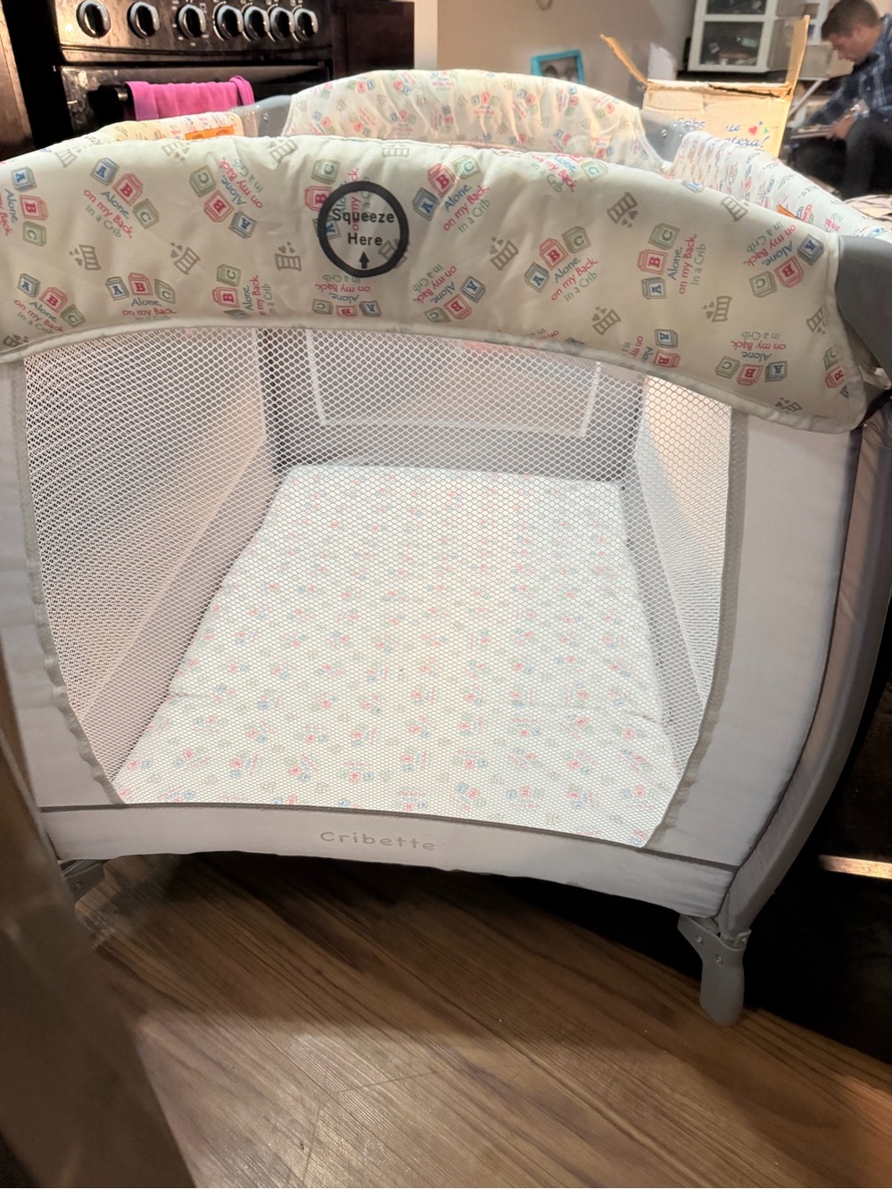 Portable play pen and bassinet